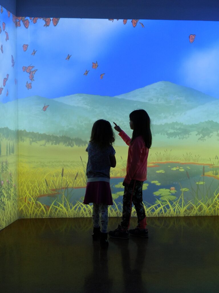 In-Tune with Nature: Cayton Children’s Museum